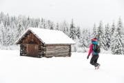 Pg visitfiemme.it foto Gaia Panozzo (37).jpg